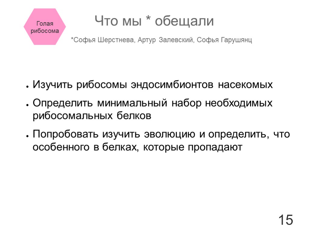 15 Изучить рибосомы эндосимбионтов насекомых Определить минимальный набор необходимых рибосомальных белков Попробовать изучить эволюцию